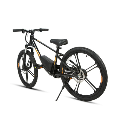 EKIDS24 1.0 - Tampa Home & Garden Store