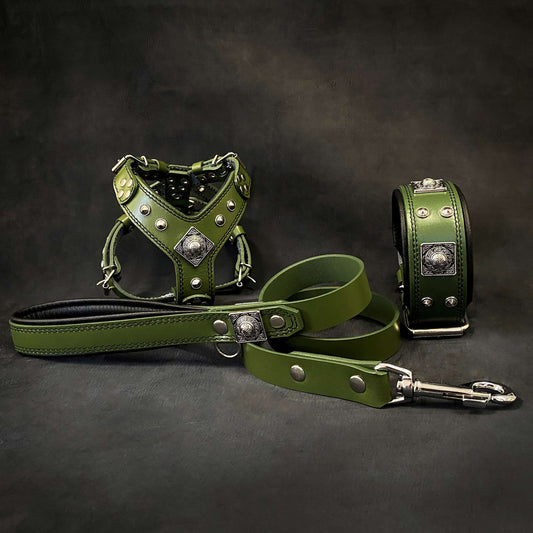 "EROS" Small to Medium dog SET - Harness - collar - lead. Green - Tampa Home & Garden Store