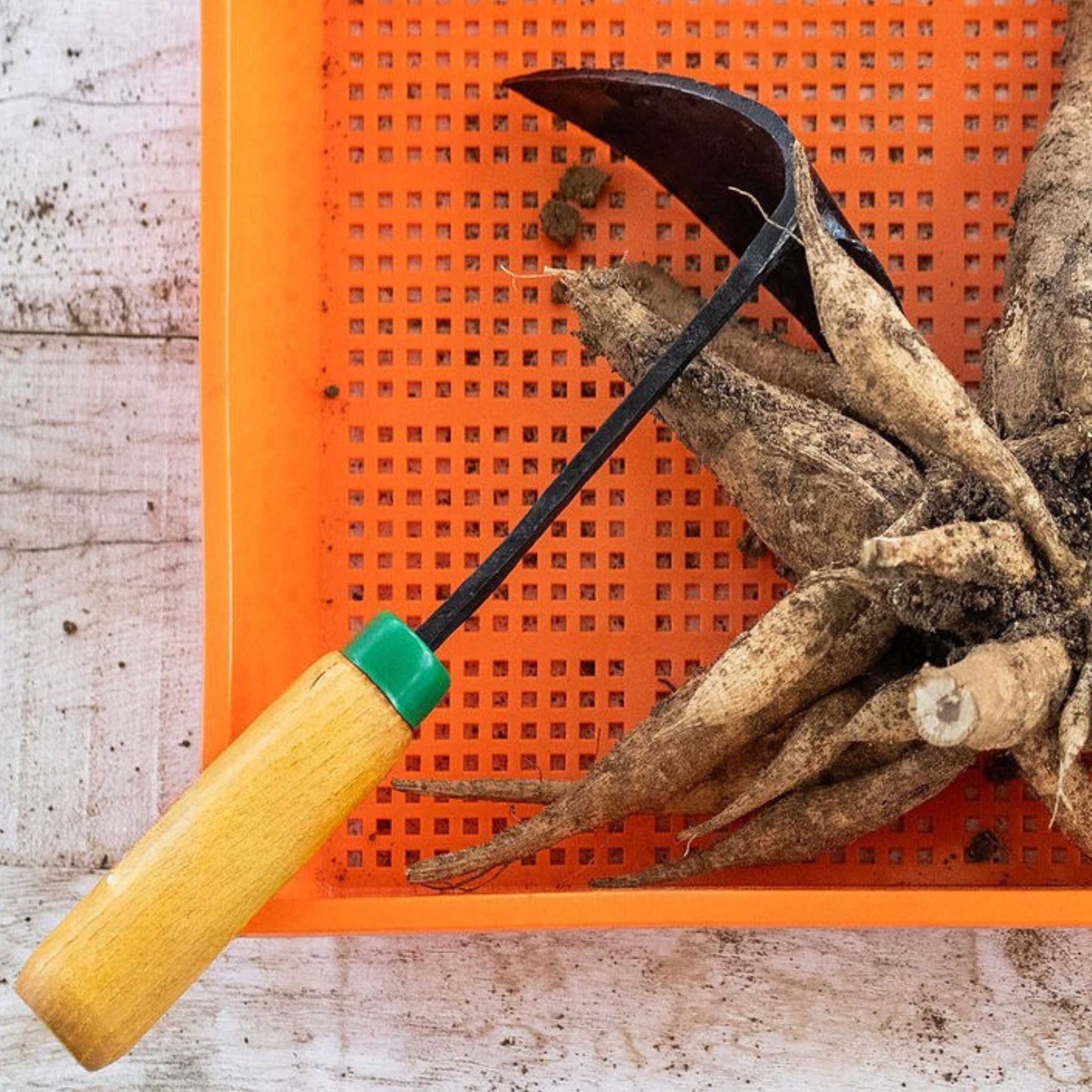 EZ-Digger Garden Tool Short Handle | 7 inch Blade