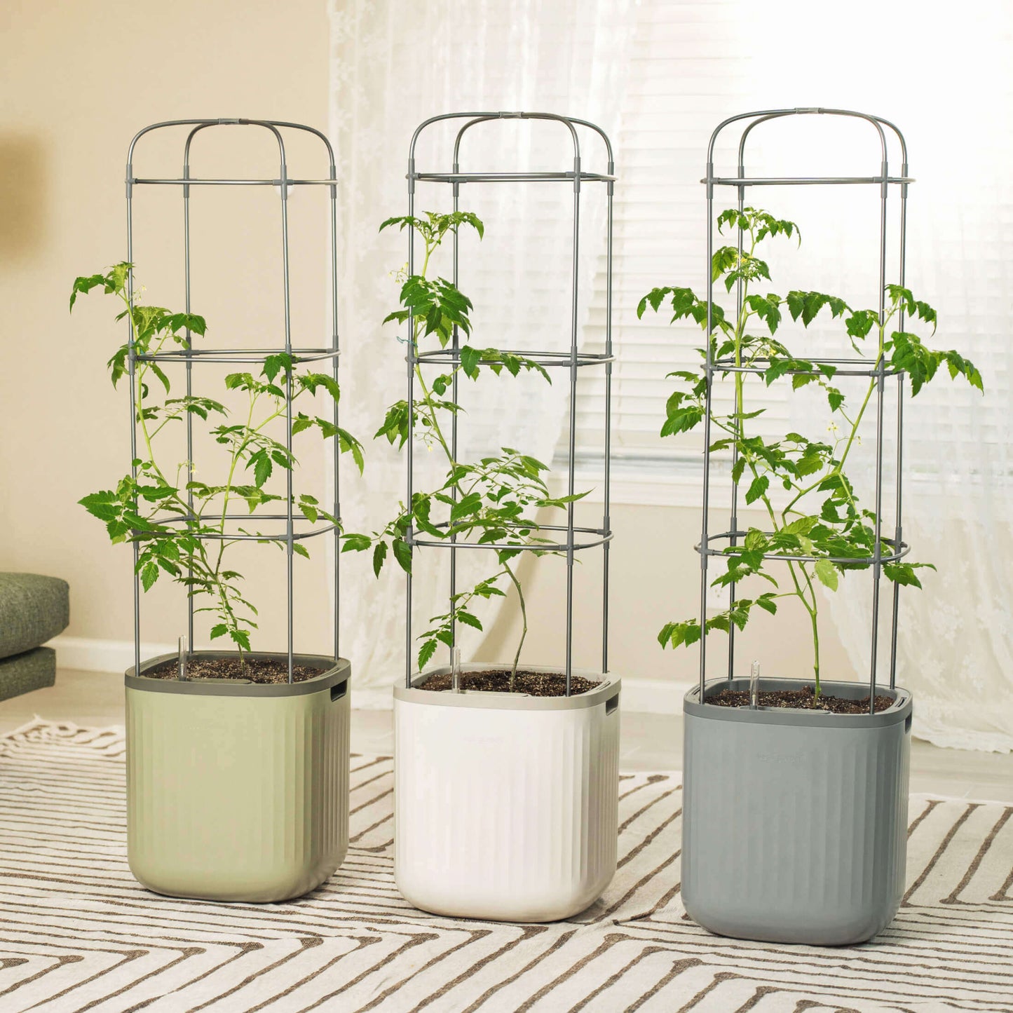 EZ Self-Watering Tomato Planter with Trellis - Tampa Home & Garden Store