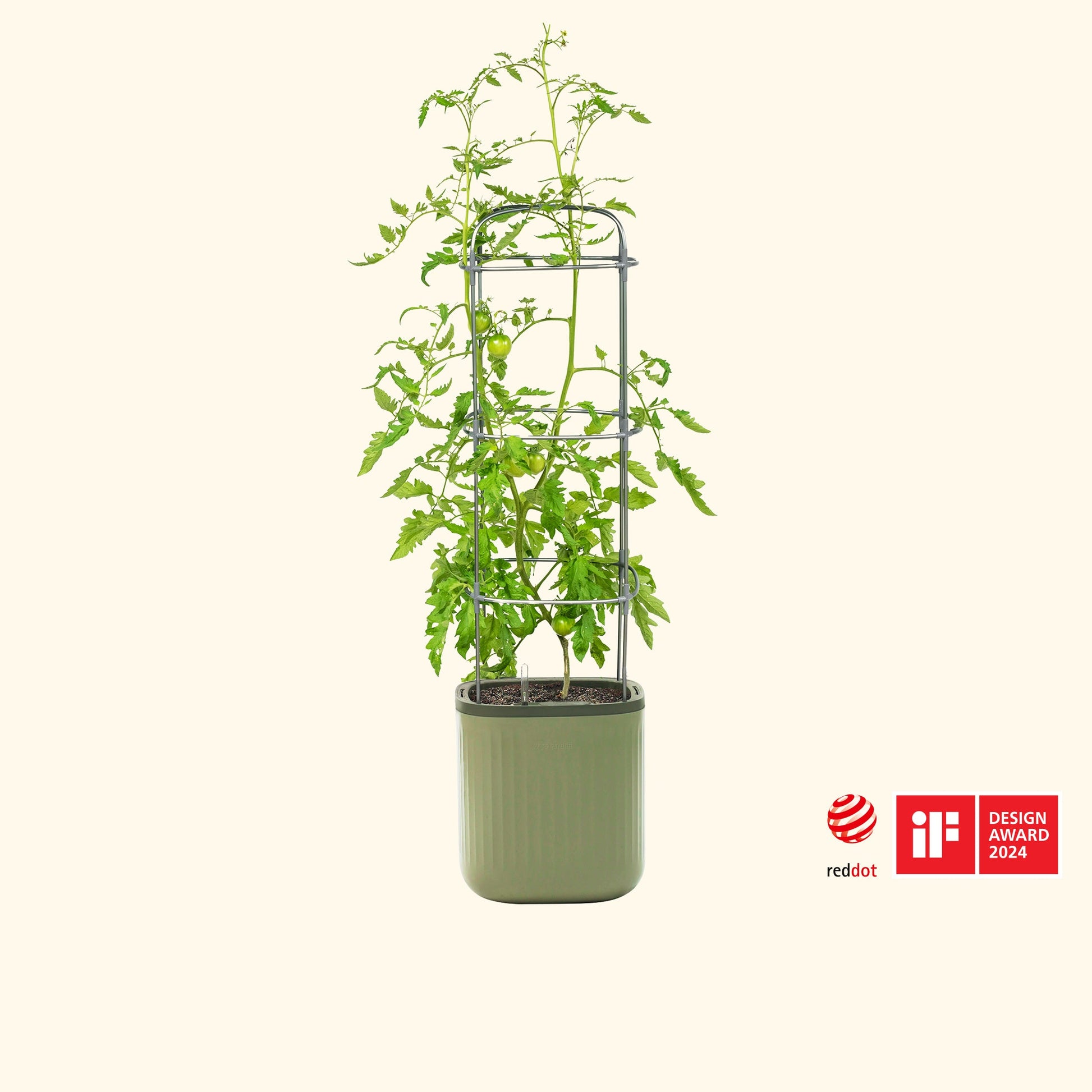 EZ Self-Watering Tomato Planter with Trellis - Tampa Home & Garden Store