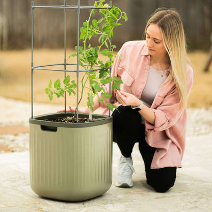 EZ Self-Watering Tomato Planter with Trellis - Tampa Home & Garden Store