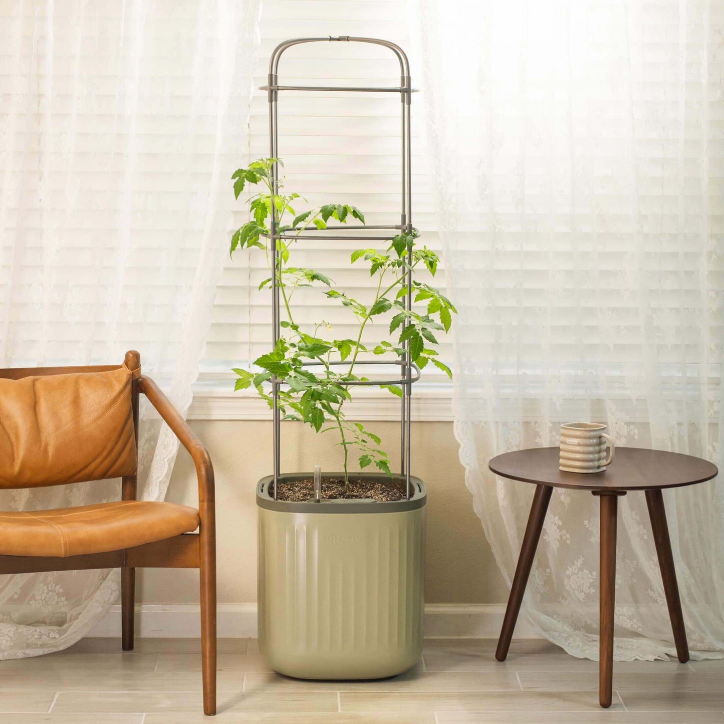EZ Self-Watering Tomato Planter with Trellis - Tampa Home & Garden Store