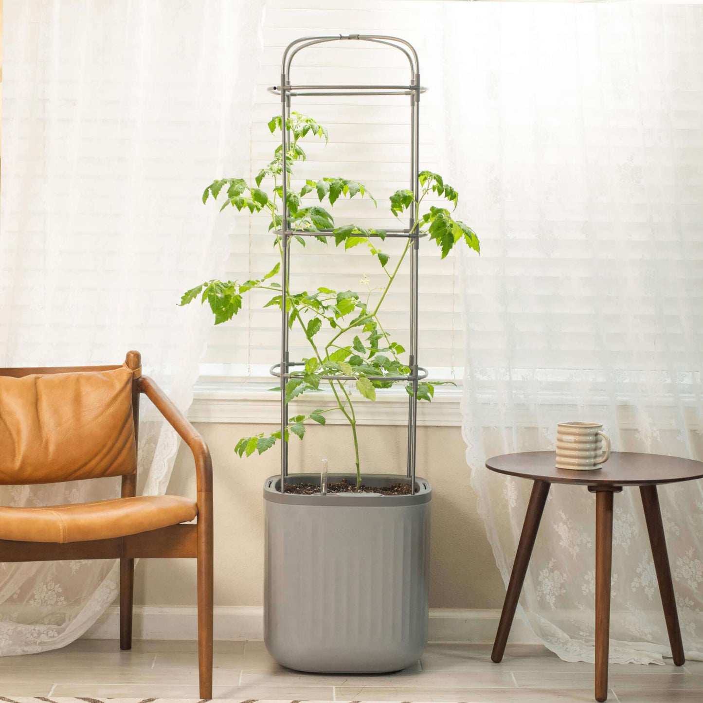 EZ Self-Watering Tomato Planter with Trellis - Tampa Home & Garden Store