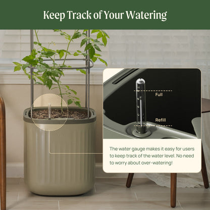 EZ Self-Watering Tomato Planter with Trellis - Tampa Home & Garden Store