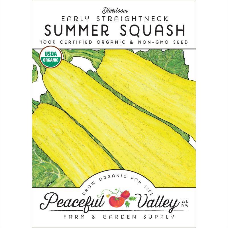 Early Straightneck Summer Squash Seeds (Organic) - Tampa Home & Garden Store