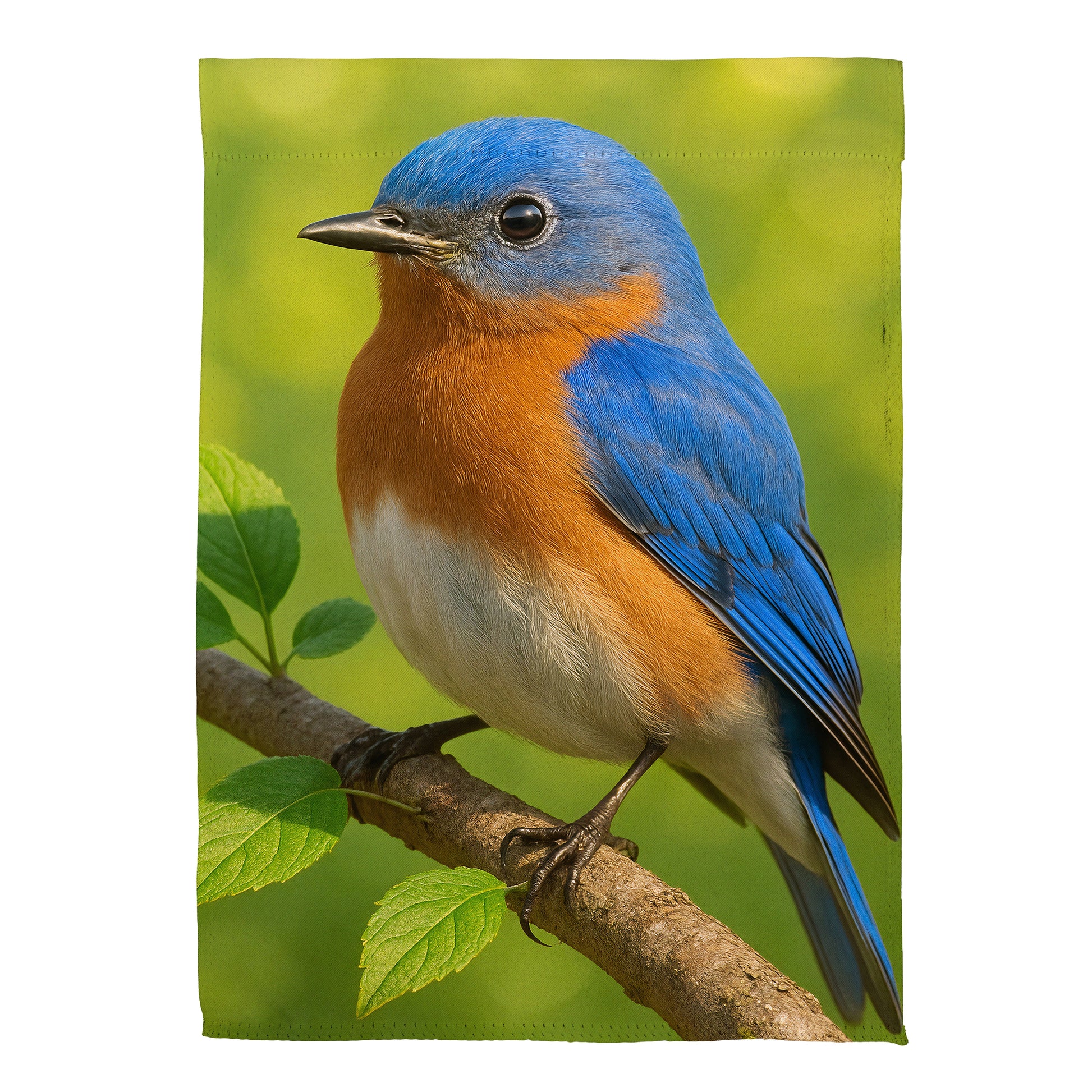 Eastern Blue Bird Suede House Flag - Tampa Home & Garden Store