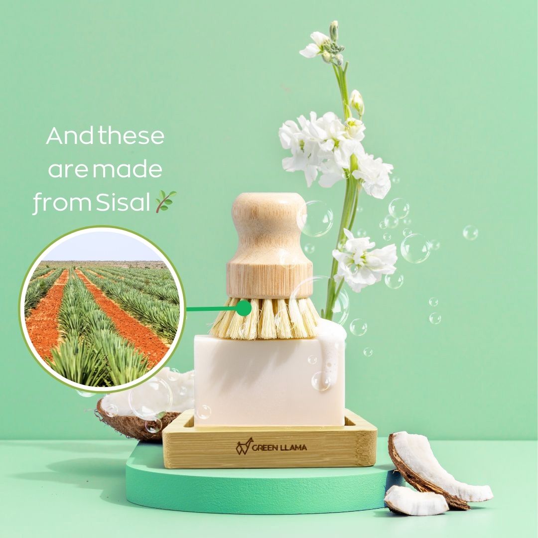 Eco-Friendly Dish Washing Starter Pack - Sparkling Clean & Green - Tampa Home & Garden Store
