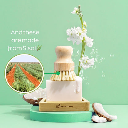 Eco-Friendly Dish Washing Starter Pack - Sparkling Clean & Green - Tampa Home & Garden Store