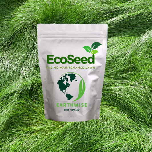 EcoSeed - Césped ecológico sin mantenimiento, mezcla de festuca fina