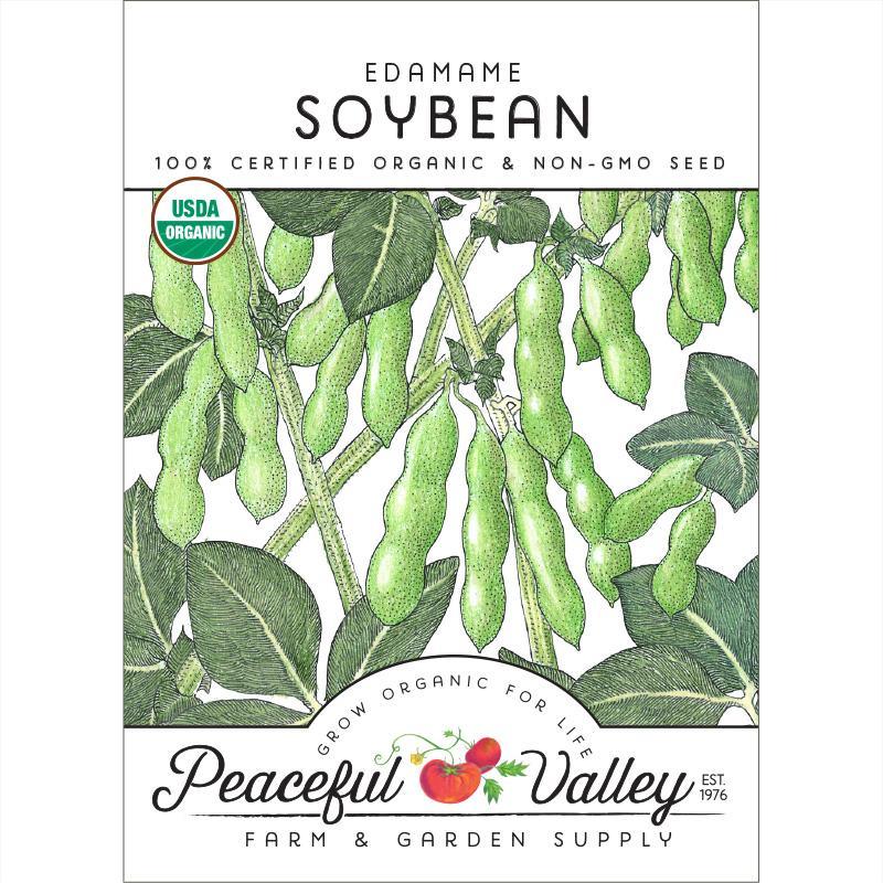 Edamame Soybean Seeds (Organic) - Tampa Home & Garden Store