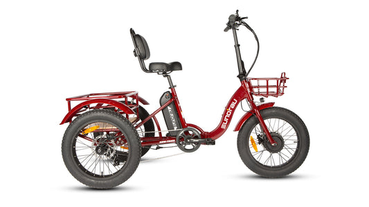 Electric TRIKE Foldable City Model 2.0 - Tampa Home & Garden Store
