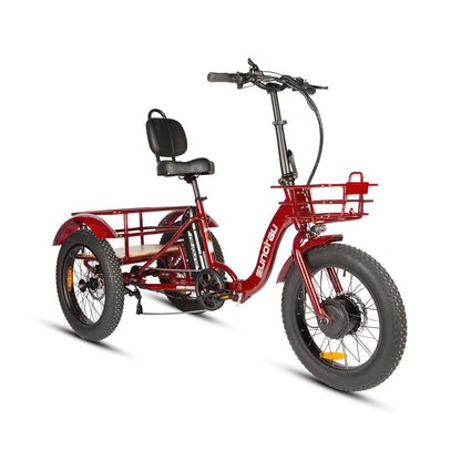 Electric TRIKE Foldable City Model 2.0 - Tampa Home & Garden Store