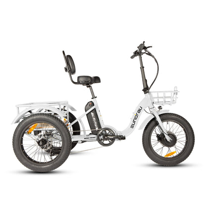 Electric TRIKE Foldable City Model 2.0 - Tampa Home & Garden Store