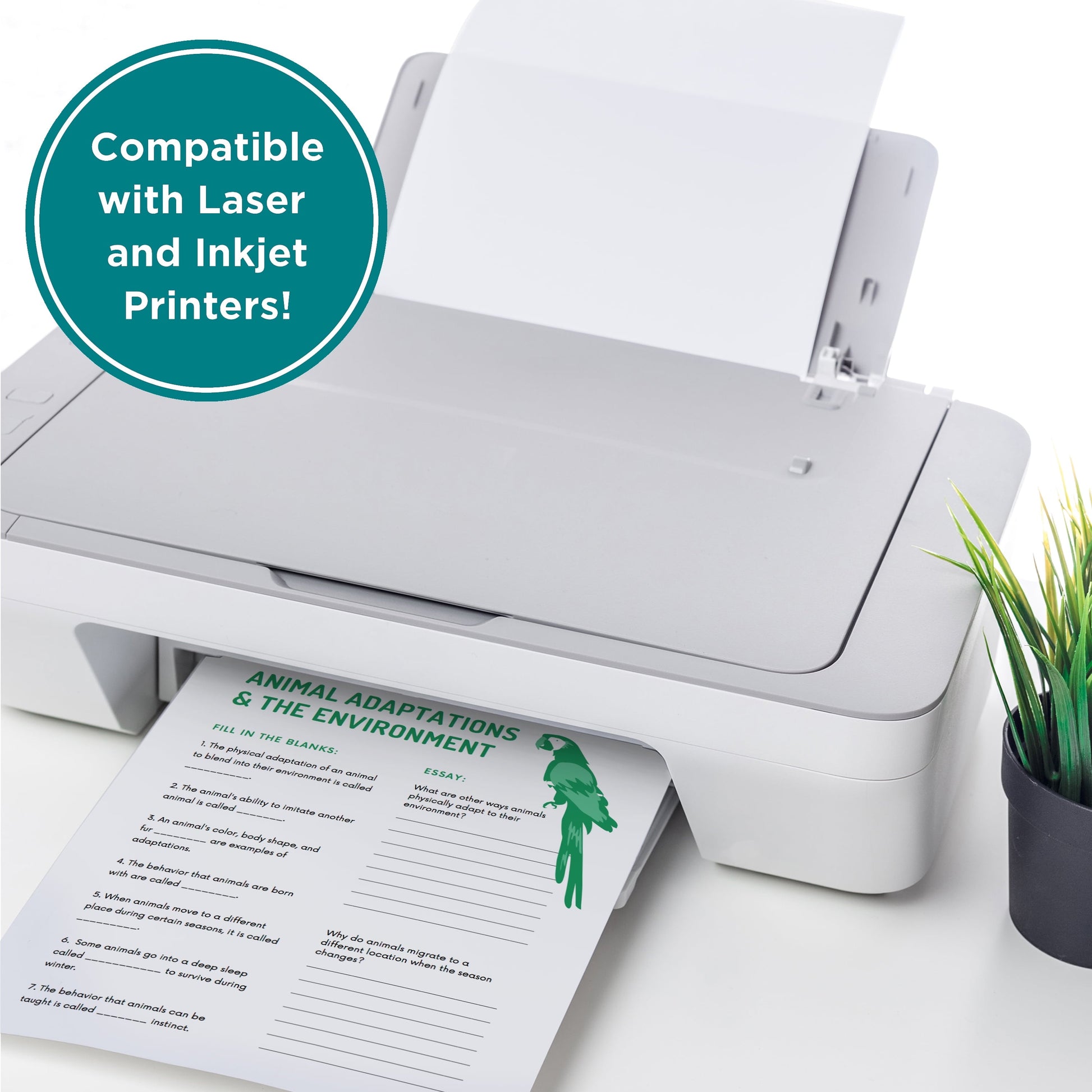 Elementree Sustainable Printer Paper – Eco-Friendly, Affordable, and High-Quality - Tampa Home & Garden Store