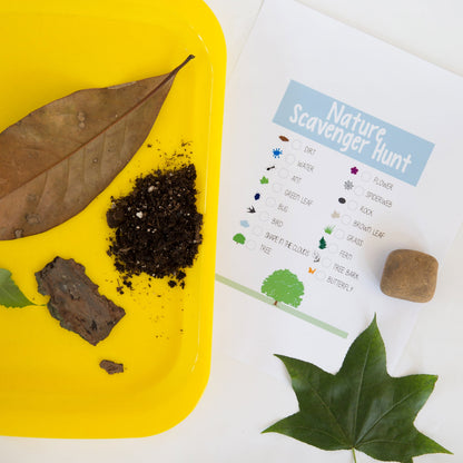 Elementree Sustainable Printer Paper – Eco-Friendly, Affordable, and High-Quality - Tampa Home & Garden Store