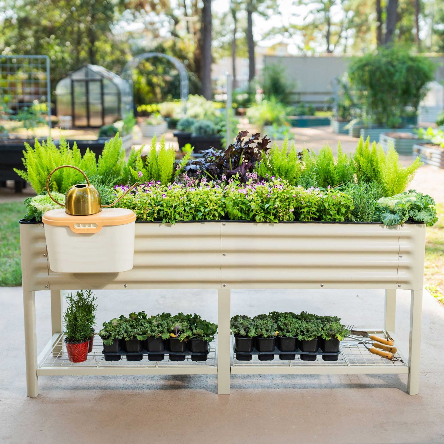 Elevated Garden Bed - V Series 2' x 6' - Tampa Home & Garden Store