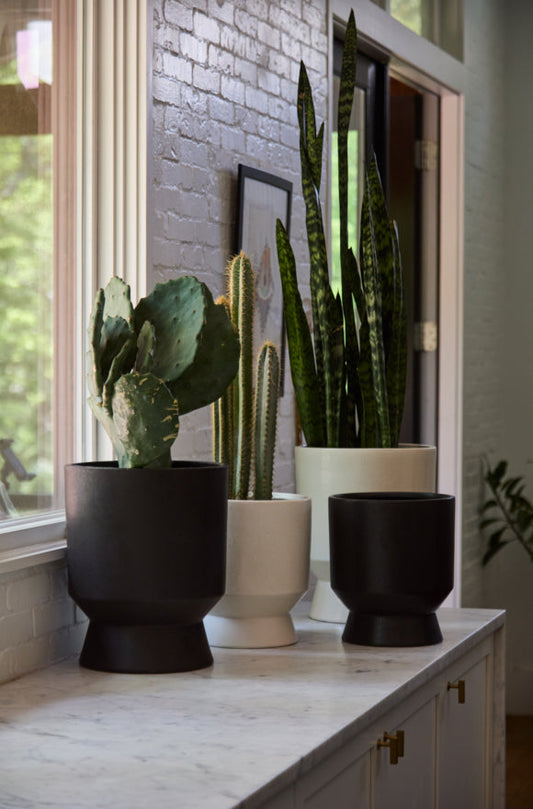 Elliott Pot - Tampa Home & Garden Store