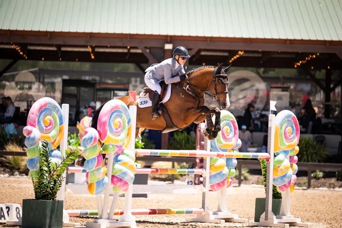 Grand Prix Ladies EQJ 3 Button Show Coat cadet blue NY Tech fabric Huntley Equestrian on Tampa Home & Garden Store