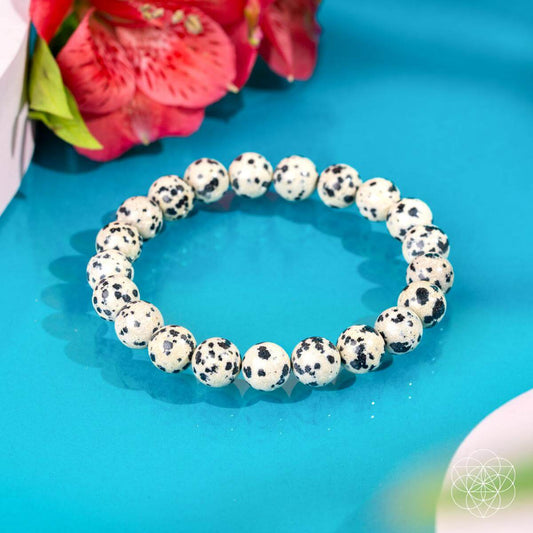 Emotional Detox - Dalmatian Jasper Bracelet - Tampa Home & Garden Store