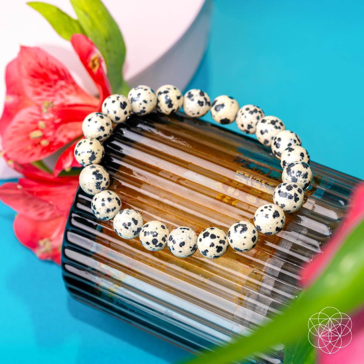 Emotional Detox - Dalmatian Jasper Bracelet - Tampa Home & Garden Store