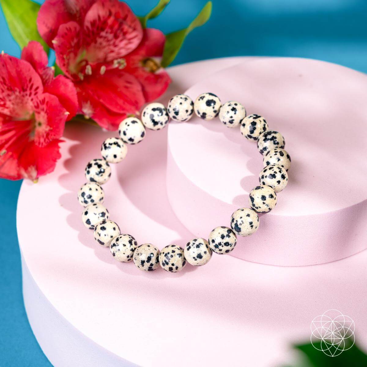 Emotional Detox - Dalmatian Jasper Bracelet - Tampa Home & Garden Store