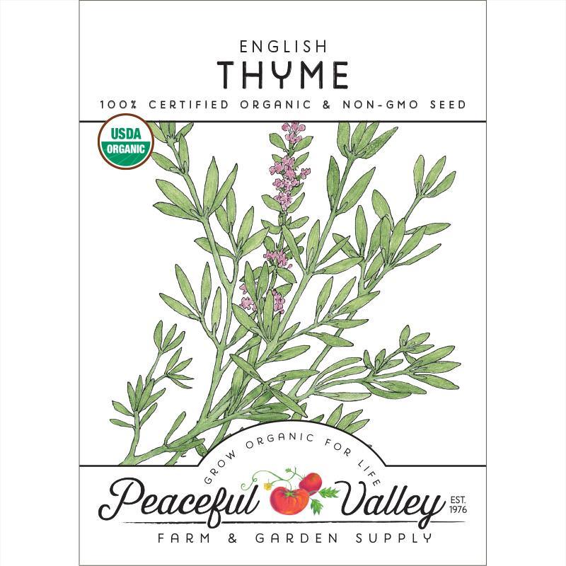 English Thyme Seeds (Organic) - Tampa Home & Garden Store