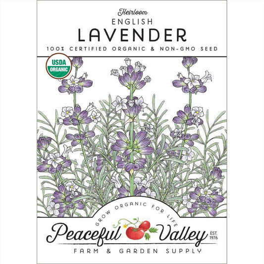 English-Vera Lavender Seeds (Organic) - Tampa Home & Garden Store