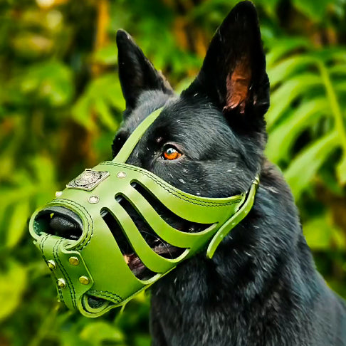 ''Eros'' Basket Muzzle GREEN - Tampa Home & Garden Store