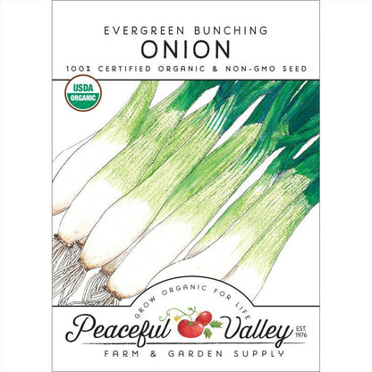 Evergreen Bunching Onion Seeds (Organic) - Tampa Home & Garden Store