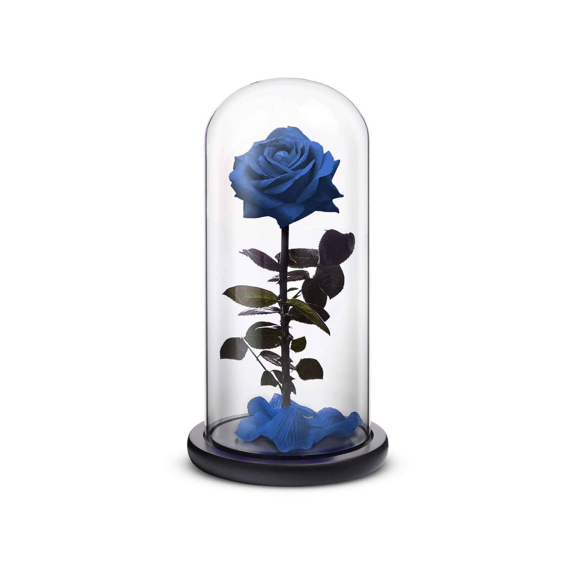 Everlasting Rose (Blue) - Tampa Home & Garden Store