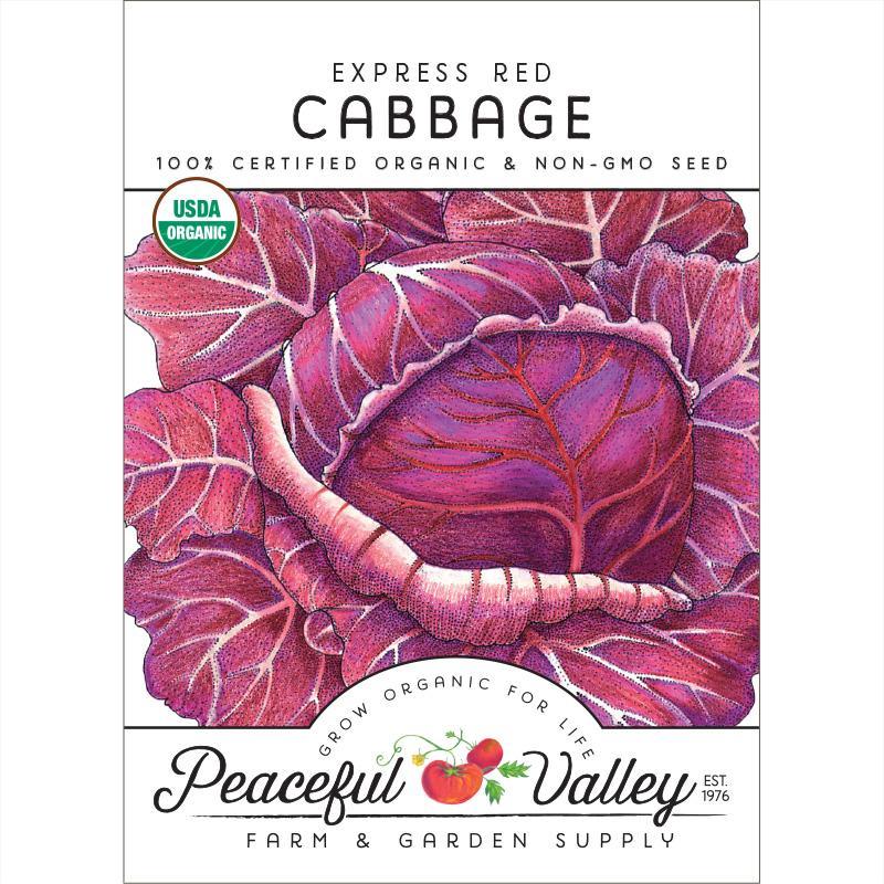 Express Red Cabbage Seeds (Organic) - Tampa Home & Garden Store