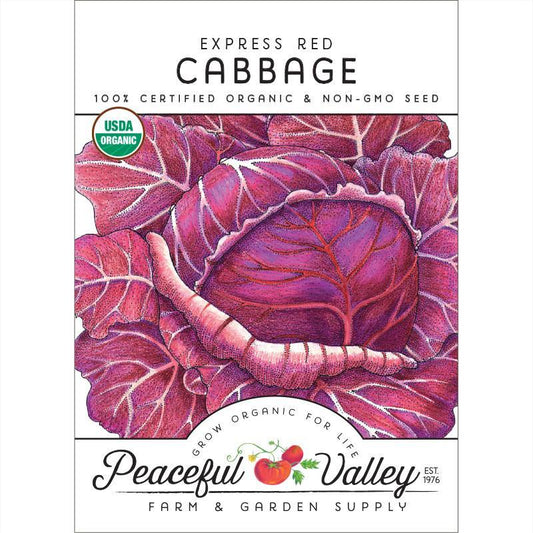 Express Red Cabbage Seeds (Organic) - Tampa Home & Garden Store