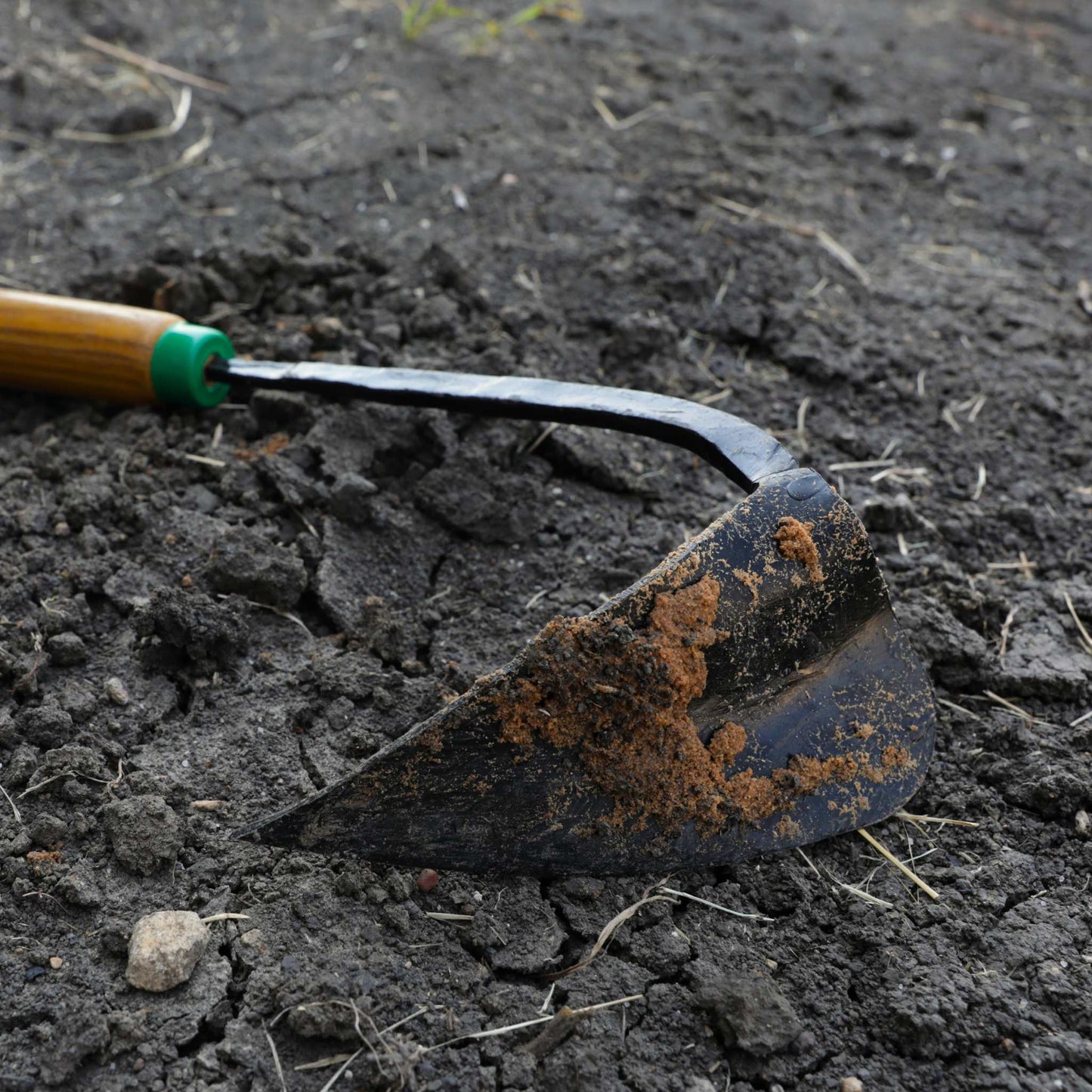 Cuchillo triangular coreano Ez-Digger | Mango corto