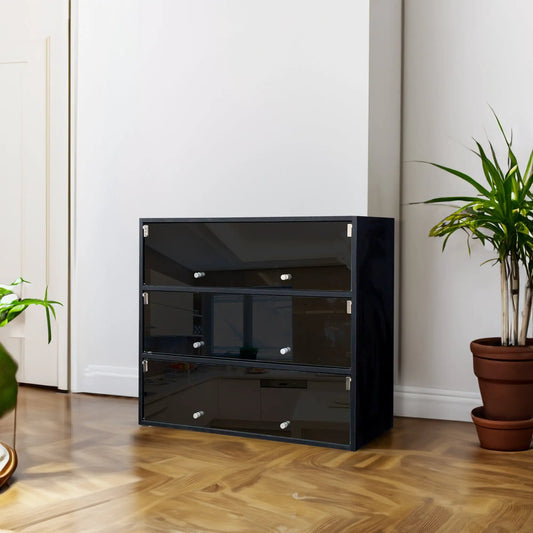 Black glass door shoe cabinet with RGB light, modern tall unit on Tampa Home & Garden Store
