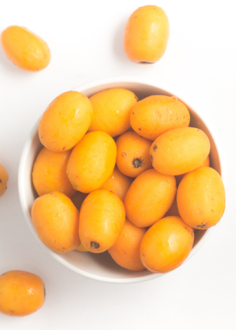 Jocote Tree, Yellow (Spondias Mombin)
