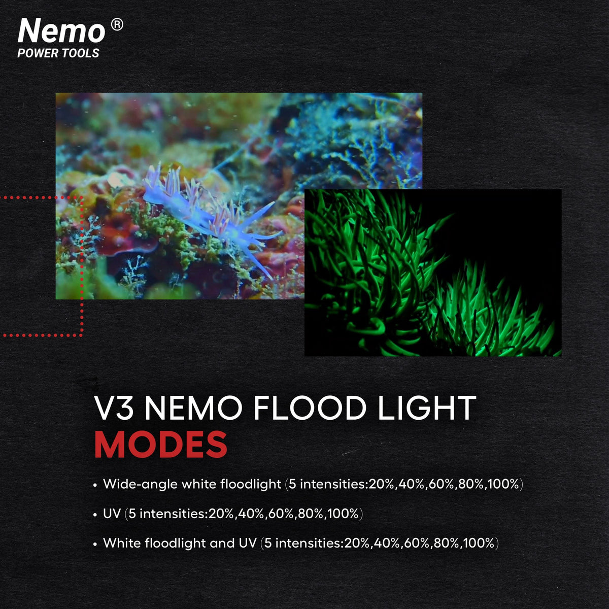 V3 Nemo Flood Light underwater flood light 15000 lumens GRIP TECH TOOLS logo Nemo Power Tools on Tampa Home & Garden Store