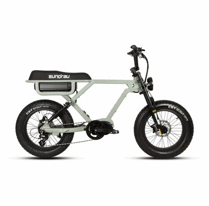 FLASH AWD 1.0 electric bike by EUNORAU E-BIKE US with olive frame and black saddle on Tampa Home & Garden Store