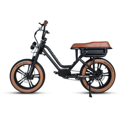 FLASH LITE  ST 1.0 - Tampa Home & Garden Store