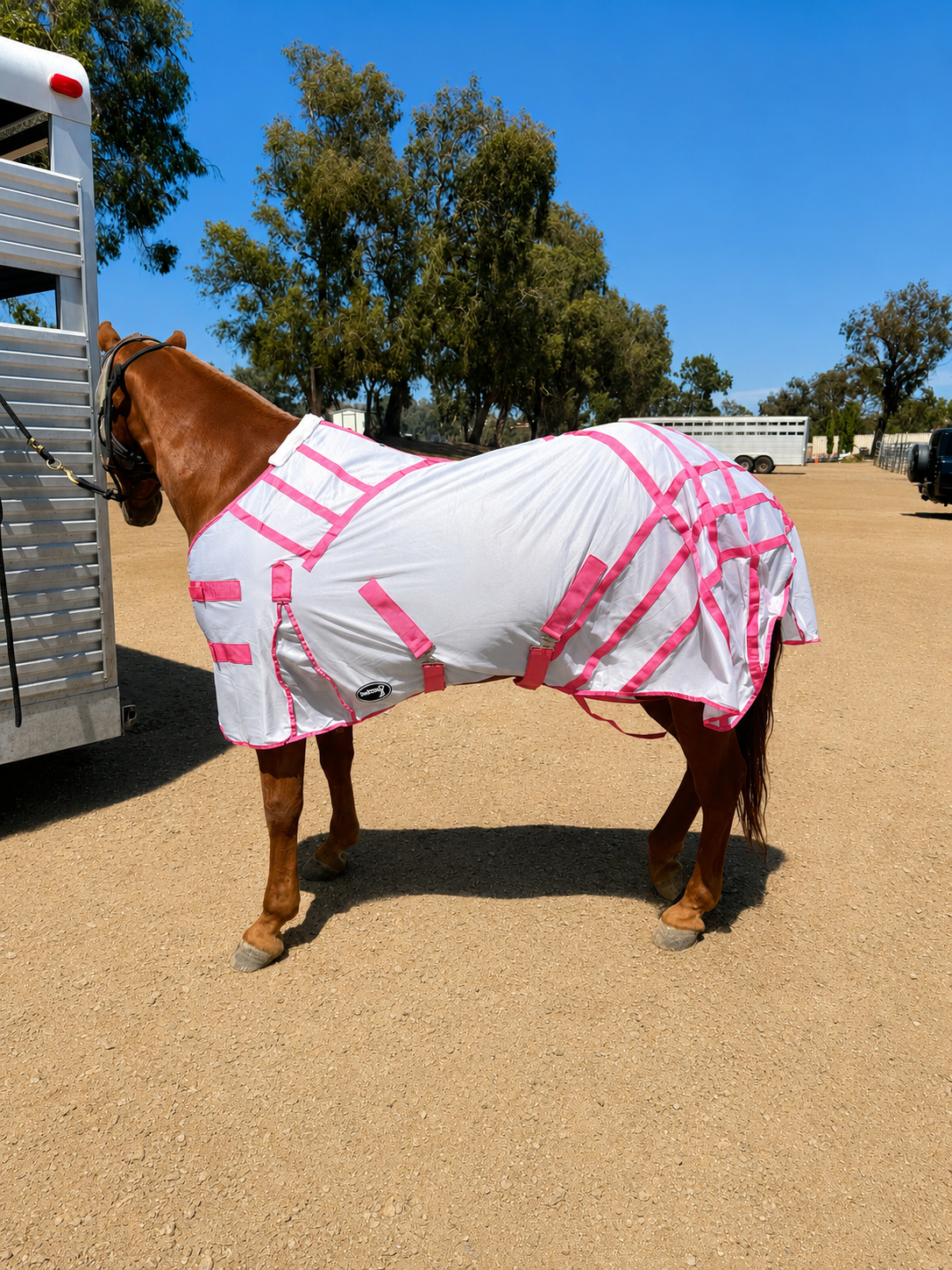 ByeBye Fly Sheets horse blanket white with pink stripes and pink straps on Tampa Home & Garden Store