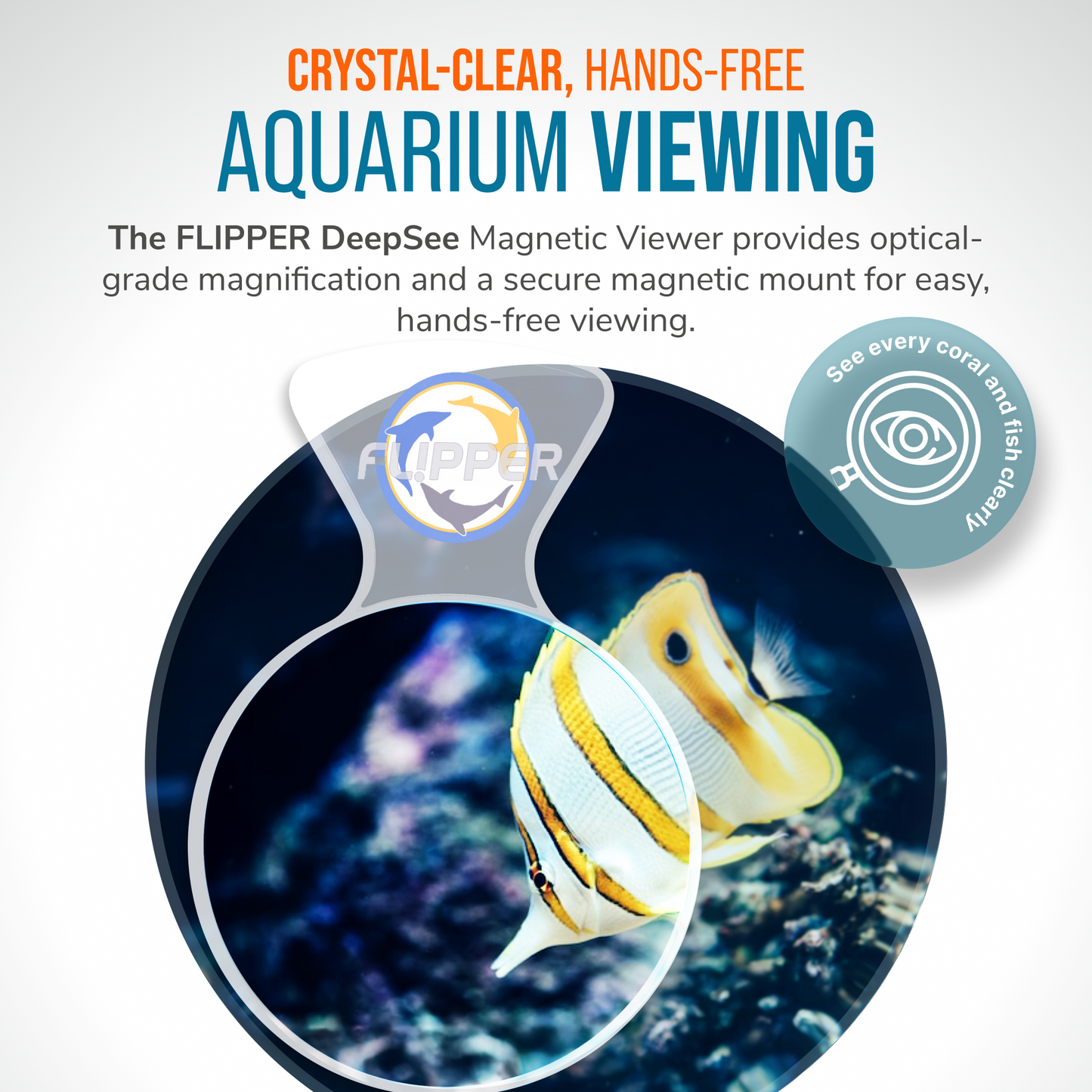 DeepSee Viewer Clear and Max 5 Magnetic Aquarium