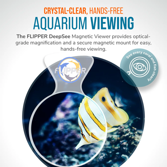 DeepSee Magnetic Aquarium Viewer by Flipper; crystal clear viewing with magnetic mount on Tampa Home & Garden Store