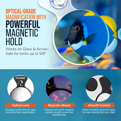 DeepSee Viewer Clear and Max 5 Magnetic Aquarium