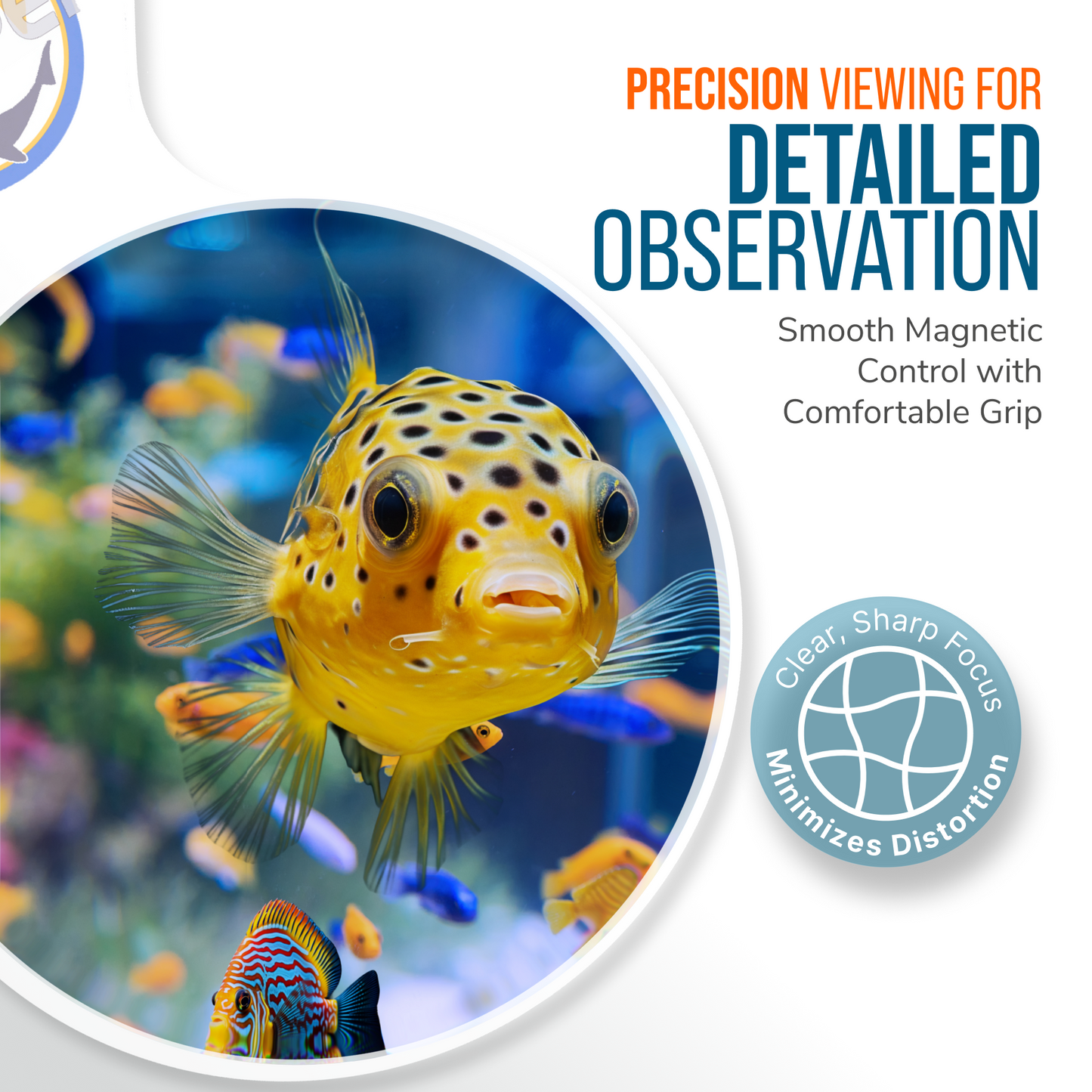 DeepSee Viewer Clear and Max 5 Magnetic Aquarium