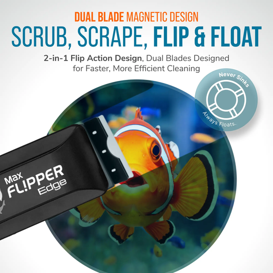 Flipper Edge 2-in-1 magnetic algae cleaner blue/black dual-blade aquarium tool on Tampa Home & Garden Store