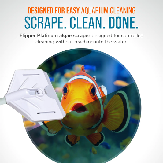 Flipper Platinum aquarium algae scraper 18-inch handheld with white plastic handle on Tampa Home & Garden Store