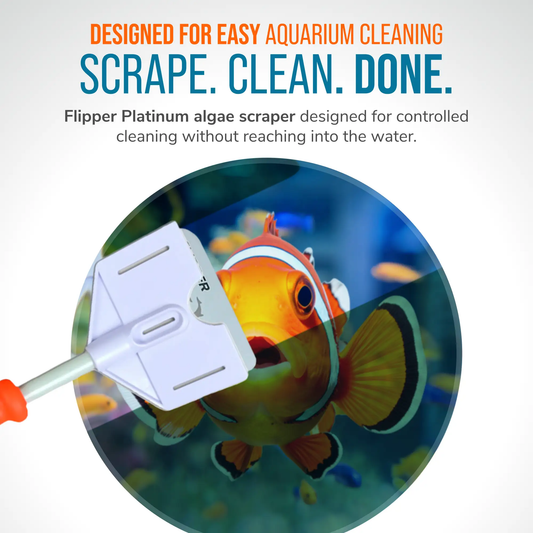 Flipper Platinum Aquarium Algae Scraper 10 Inch handheld scraper with white handle on Tampa Home & Garden Store