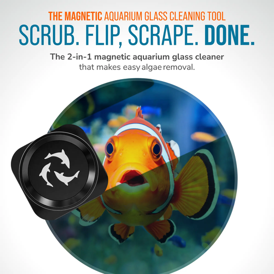 Flipper Pico Black 2-in-1 aquarium magnet cleaner, black magnets with logo over vivid fish scene on Tampa Home & Garden Store