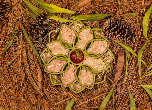 Raw Turkey Meal Blend for Cats and Dogs in a green circular tray with turkey chunks and fish pieces on Tampa Home & Garden Store