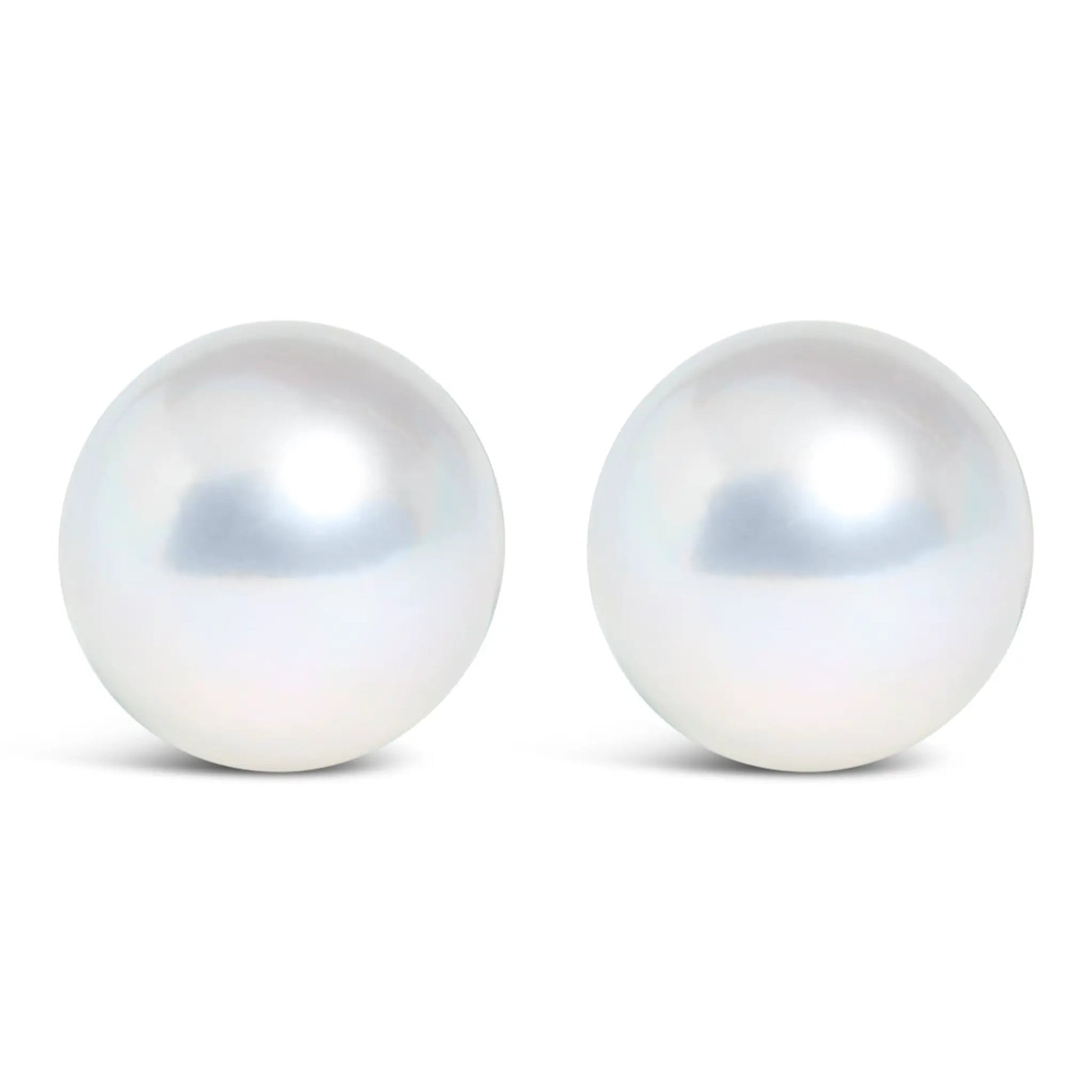 Pearl stud earrings in 14k white gold with cultured freshwater pearls 5–5.5 mm, pair on Tampa Home & Garden Store